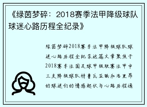 《绿茵梦碎：2018赛季法甲降级球队球迷心路历程全纪录》