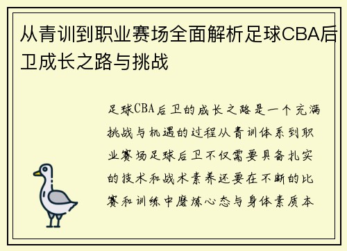 从青训到职业赛场全面解析足球CBA后卫成长之路与挑战